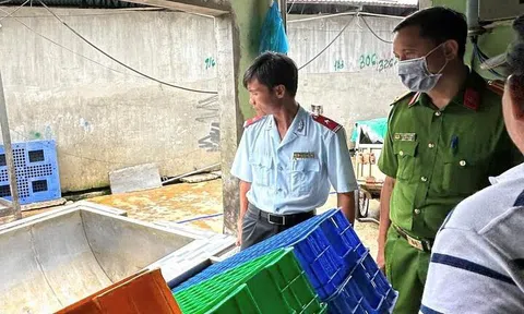 Đang kiểm tra lò mổ heo gia công cho Công ty C.P tại Hậu Giang