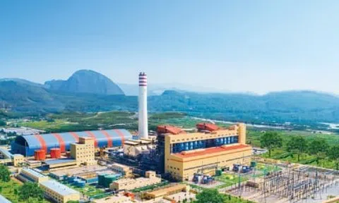 Doanh nghiệp báo lỗ thành lãi, huy động nghìn tỷ: Cần làm rõ trách nhiệm