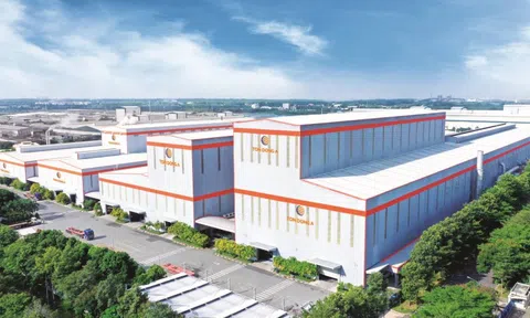 'Đại gia' Tôn sắp khởi công nhà máy 7.000 tỷ ở Bà Rịa-Vũng Tàu