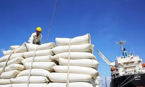 Yêu cầu không làm khó người dân vay vốn sản xuất lúa gạo
