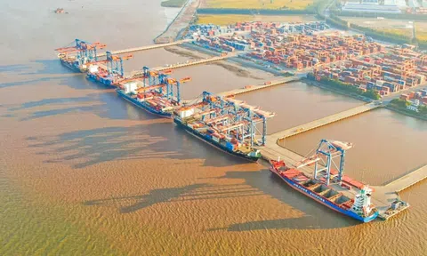 Loạt lãnh đạo Gemadept ồ ạt dự chi trăm tỷ mua cổ phiếu