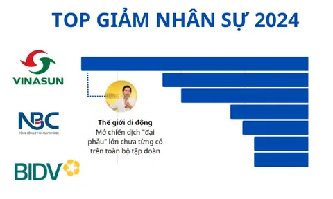Xu hướng tinh gọn nhân sự: nhiều ngân hàng cắt giảm số lượng lớn, Thế giới Di động giảm 10.000 người trong 2 năm, 1 DN có vốn nhà nước với hơn 1.300 người giảm tới 86%