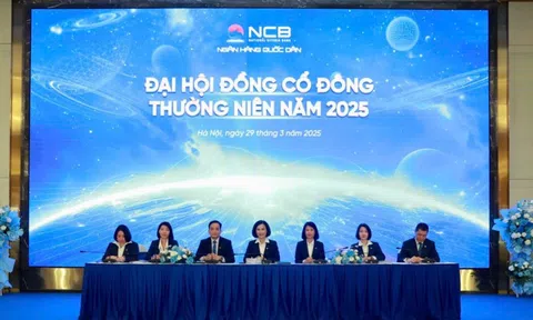 ĐHCĐ NCB 2025: Hơn 200 triệu cổ phiếu Bamboo Airways sẽ được thanh toán chậm nhất vào năm 2026, dự kiến có lãi ngay trong quý 1