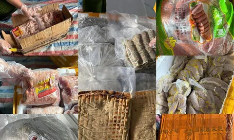 Phát hiện hơn 20 tấn nội tạng bốc mùi giấu trong container