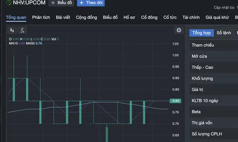 Một công ty ứng gần 96% tài sản cho tổng giám đốc đi đầu tư tài chính