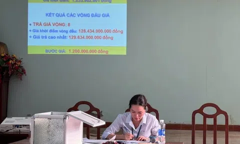 Doanh nghiệp 1 tháng tuổi trúng đấu giá mỏ cát gần 500 tỷ đồng