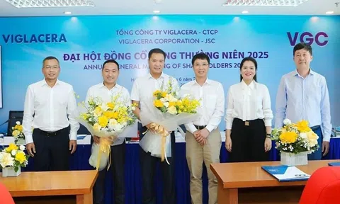 Viglacera có Chủ tịch HĐQT mới