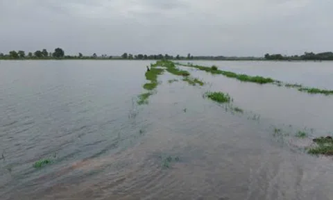 Mưa lớn do bão số 1 gây ngập lụt và sạt lở ở miền Trung