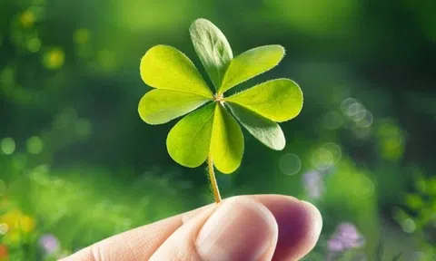 Ngành “biến người thường thành tỷ phú” ở 21 tỉnh phía Nam: Hàng triệu người tham gia chi ra số tiền hơn 140.000 tỷ, nhận về 68.000 tỷ, không ít người đổi đời