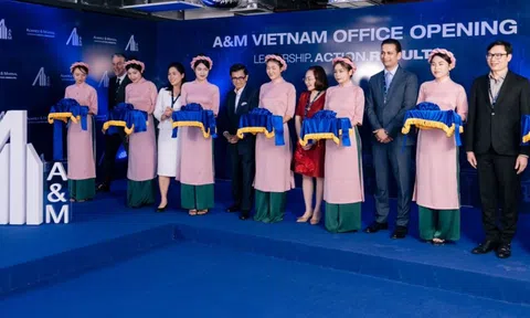 A&M tại Việt Nam: Hành trình Mở rộng hoạt động Tư vấn Vận hành tại Việt Nam
