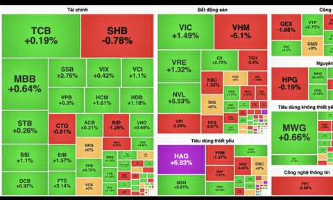 VN-Index về sát mốc 1.225 điểm, đâu là "thủ phạm"?