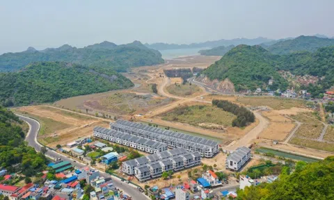 Vinaconex muốn bán toàn bộ vốn tại Vinaconex ITC, dự thu hơn 5.000 tỷ