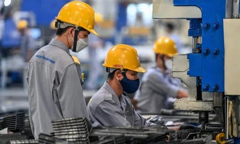 Yêu cầu báo cáo tiến độ thúc đẩy kinh tế tư nhân hàng tháng