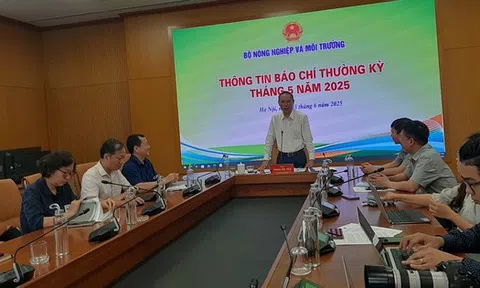 Vụ C.P. bị tố bán heo bệnh: Heo bị đóng dấu kiểm dịch sai, sẽ chuyển hồ sơ sang Bộ Công an