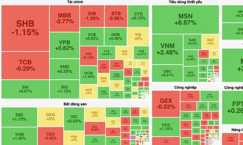 MSN lập đỉnh, VN-Index kết tuần vượt mốc 1.370 điểm