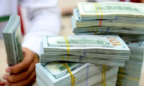 Tỷ giá hôm nay 13/2: Tỷ giá USD quay đầu giảm