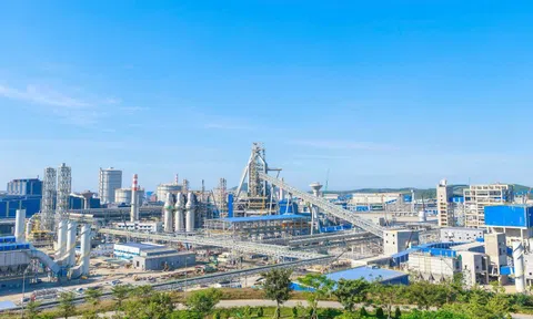 Hòa Phát thăng hạng trong TOP 100 công ty lớn nhất khu vực Đông Nam Á