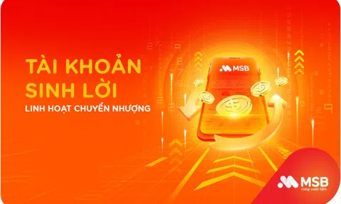 Sinh lời trên tài khoản MSB: Lợi suất hấp dẫn, chuyển nhượng linh hoạt
