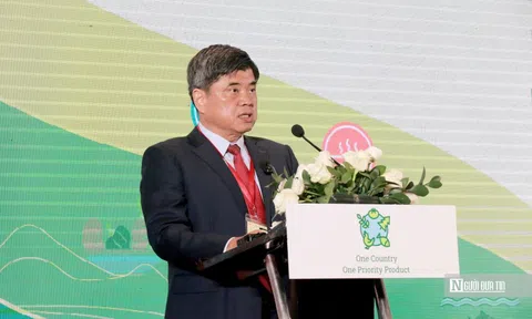 "OCOP không chỉ là thương hiệu, mà là một mô hình phát triển sáng tạo"