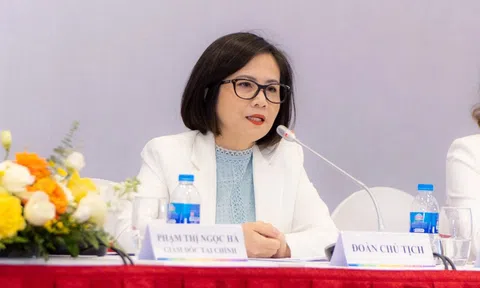 Công ty con của Vingroup thay tổng giám đốc