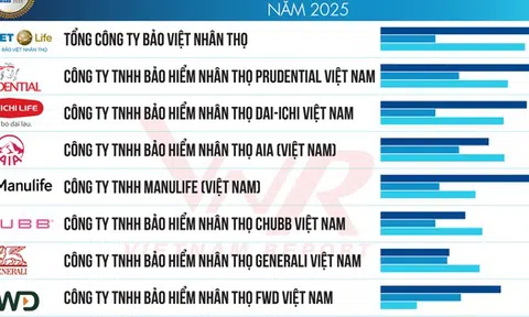 Top 10 Công ty Bảo hiểm nhân thọ uy tín năm 2025: Bảo Việt Nhân Thọ tiếp tục đứng đầu, Manulife vươn lên vị trí thứ 5