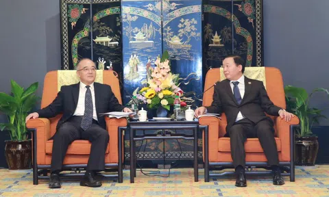 Phó Thủ tướng Trần Hồng Hà tiếp lãnh đạo 2 doanh nghiệp năng lượng, xây dựng giao thông lớn của Trung Quốc