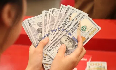 Vì sao Ngân hàng Nhà nước nghiêm cấm mua bán USD trái phép?