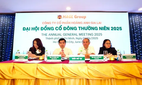 Ứng viên được nhóm Thaigroup và LPBS để cử vào HĐQT Hoàng Anh Gia Lai đã rút hồ sơ