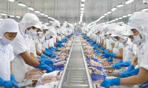 Không để ảnh hưởng đến sản xuất, kinh doanh khi sắp xếp đơn vị hành chính