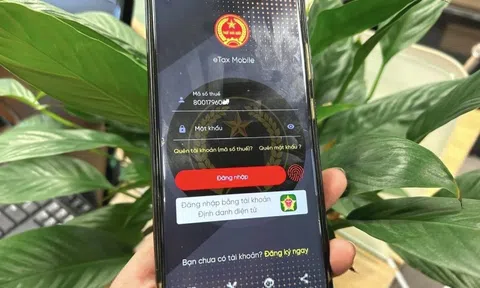 3 điều kiện để được hoàn thuế TNCN tự động