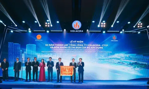 Chủ tịch Viglacera xin từ nhiệm