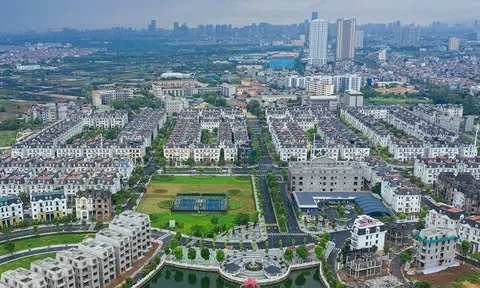 Nhà Từ Liêm lên kế hoạch lãi 2025 thấp nhất lịch sử sau 2 năm lãi đột biến nghìn tỷ từ dự án ở Hạ Long