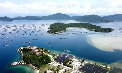 Khánh Hòa lập 3 tổ công tác đặc biệt gỡ vướng cho doanh nghiệp, tăng tốc giải ngân