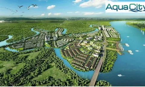 Công ty con của Novaland, chủ đầu tư Aqua City 'quay xe' từ lỗ 100 tỷ nửa đầu năm 2024 thành lãi 546 tỷ cả năm