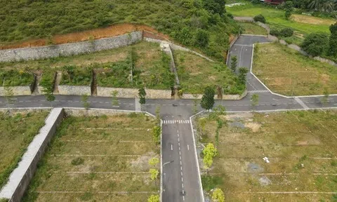 Đất huyện ngoại thành Hà Nội đấu giá cao nhất gần 181 triệu đồng/m2