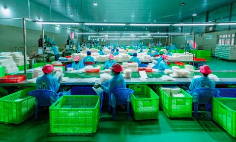 Từ cái 'chạm tay' của Thủ tướng đến những lô 'Bánh tráng Tây Ninh không nhúng nước' xuất đi 8 quốc gia