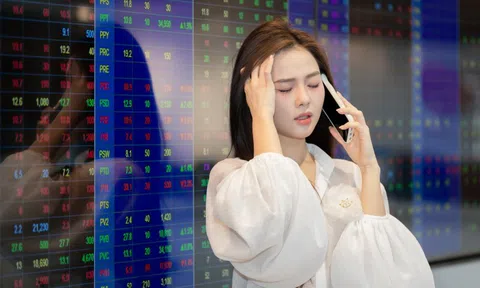 Ai mua cổ phiếu trong phiên bán tháo 80.000 tỷ đồng?