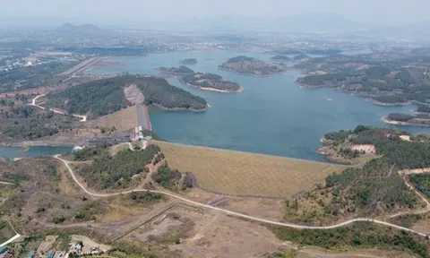 Xử lý nghiêm vụ trộm đất trong siêu dự án Đại Ninh