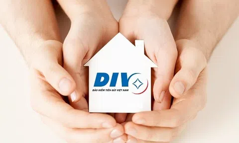 Bảo hiểm tiền gửi Việt Nam bảo vệ người gửi tiền như thế nào?