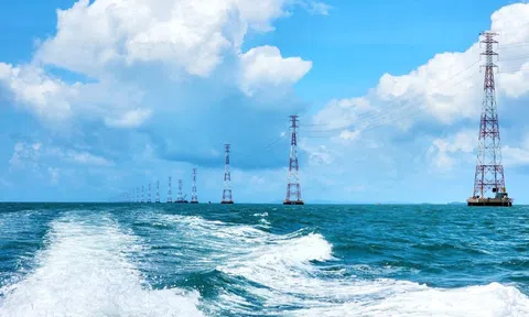 Tổng công ty Điện lực miền Nam: Tri ân lịch sử - Tự hào tiếp bước