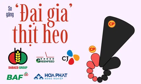 350.000 con heo nái đưa C.P. Việt Nam thống trị ngành heo, ‘đại gia’ Việt phất cờ chiếm lại thị trường?
