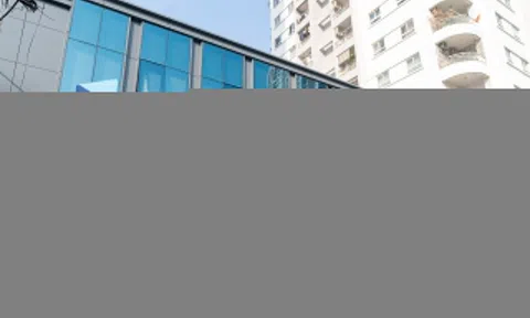 Người của Tập đoàn Thành Công được đề cử làm sếp PGBank