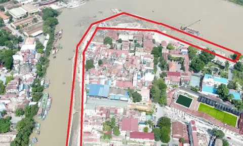 Bắt nguyên Tổng Giám đốc của nhà thầu xây dựng nổi tiếng Hải Phòng