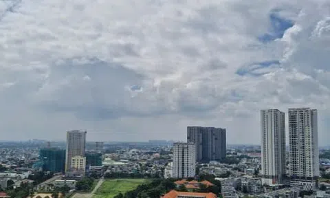 Ông Nguyễn Văn Được: TP.HCM phải có ít nhất 2 tập đoàn kinh tế mạnh như Becamex