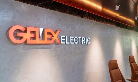 Gelex Electric muốn nâng gấp đôi mục tiêu lợi nhuận 2025 lên 3.500 tỷ, dự chi cổ tức 60%
