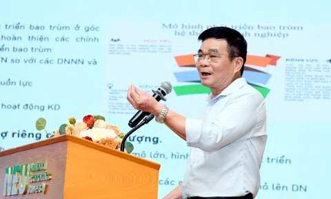 Kinh tế tư nhân có dấu hiệu hụt hơi, nhiều doanh nghiệp không muốn lớn
