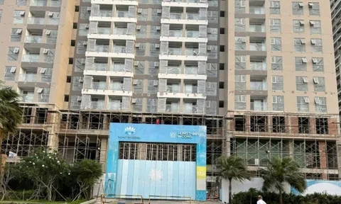 3 dự án chung cư trên 'đất vàng' tại TP Vũng Tàu vướng vào vi phạm gì?