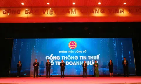 Doanh nhân có cổng thông tin hỗ trợ kê khai, nộp thuế riêng