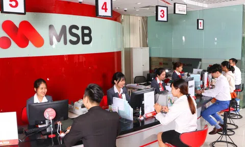 MSB muốn tăng vốn điều lệ lên 31.200 tỷ đồng, thoái vốn khỏi TNEX Finance