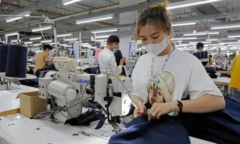 Thuế đối ứng 20%: Doanh nghiệp tìm cách thích ứng